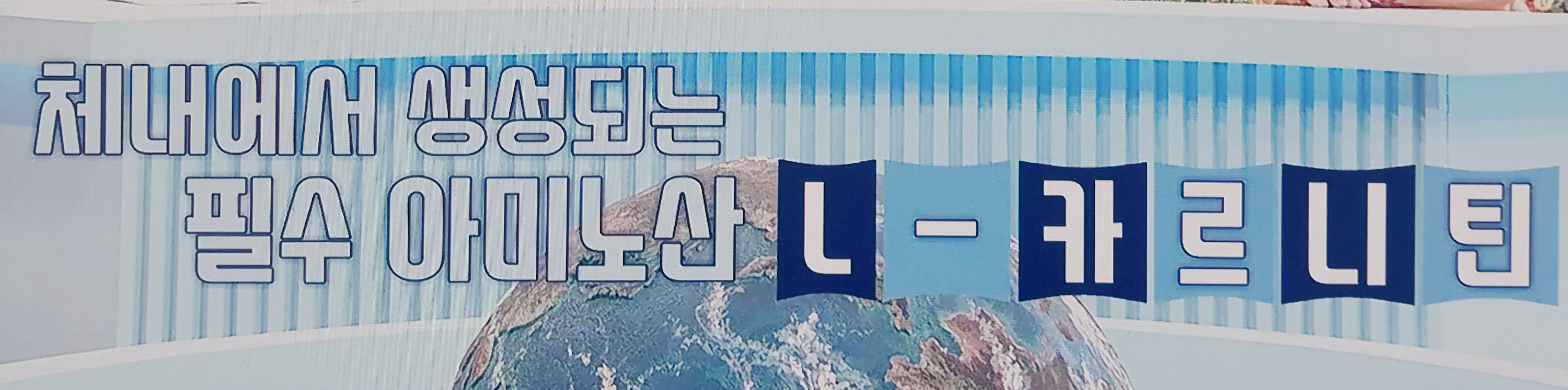 L-카르니틴
