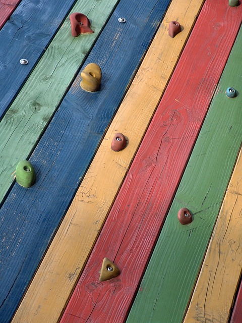 실내 클라이밍 시작하기