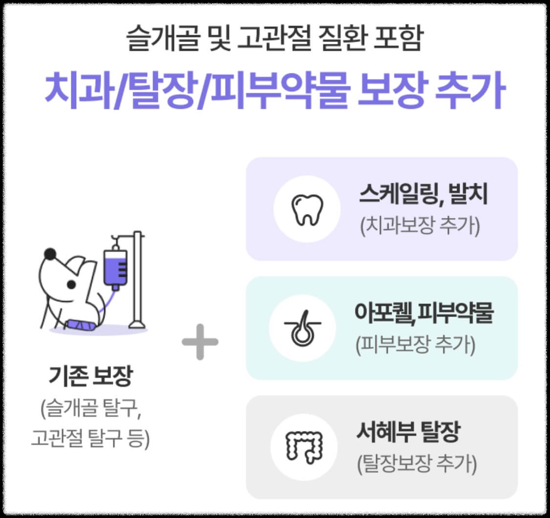 펫보험 비교