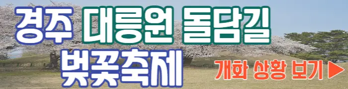 경주벚꽃축제 개화 상황_1