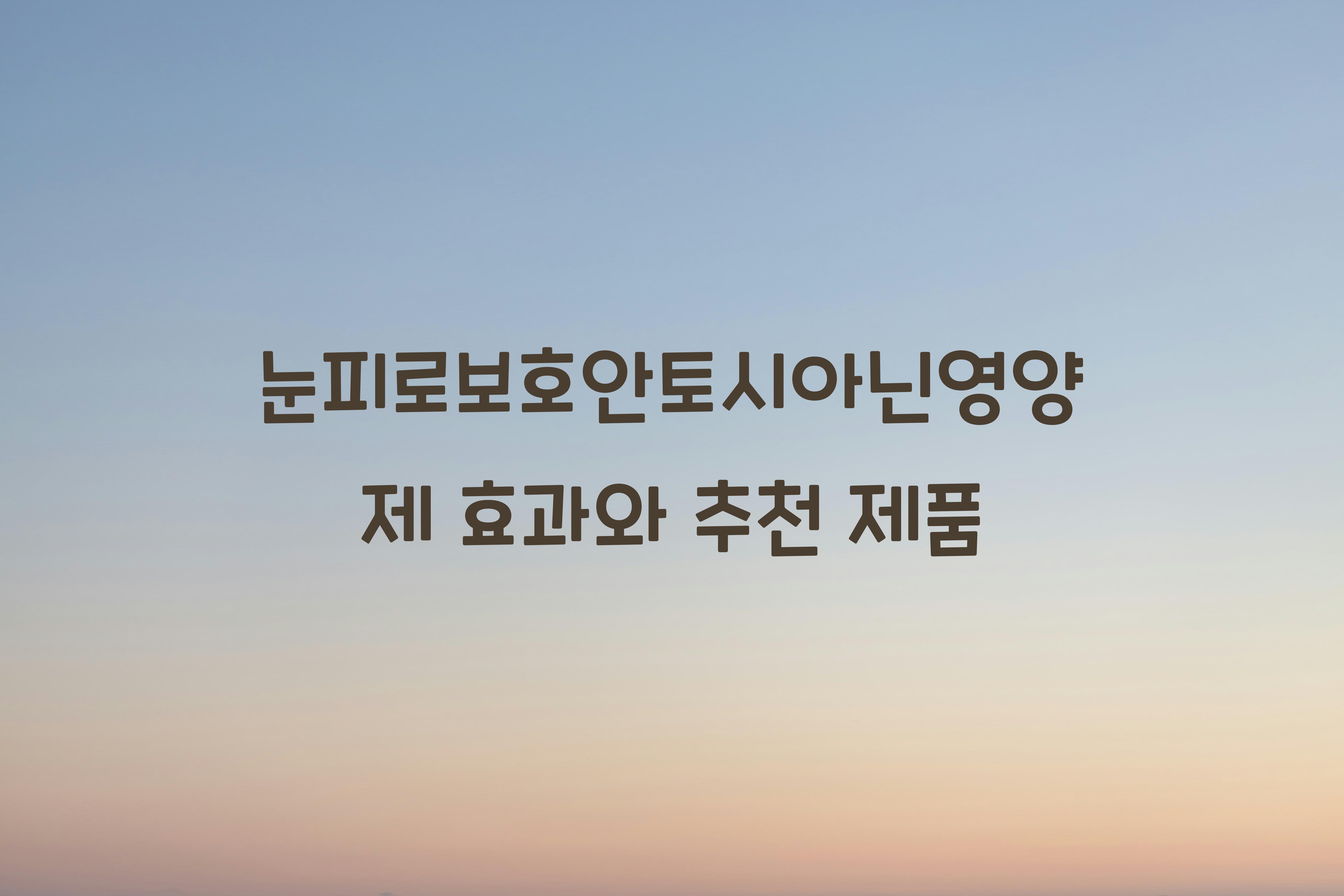 눈피로보호안토시아닌영양제