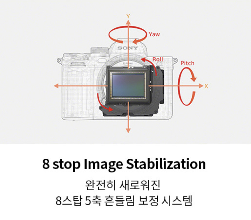 소니