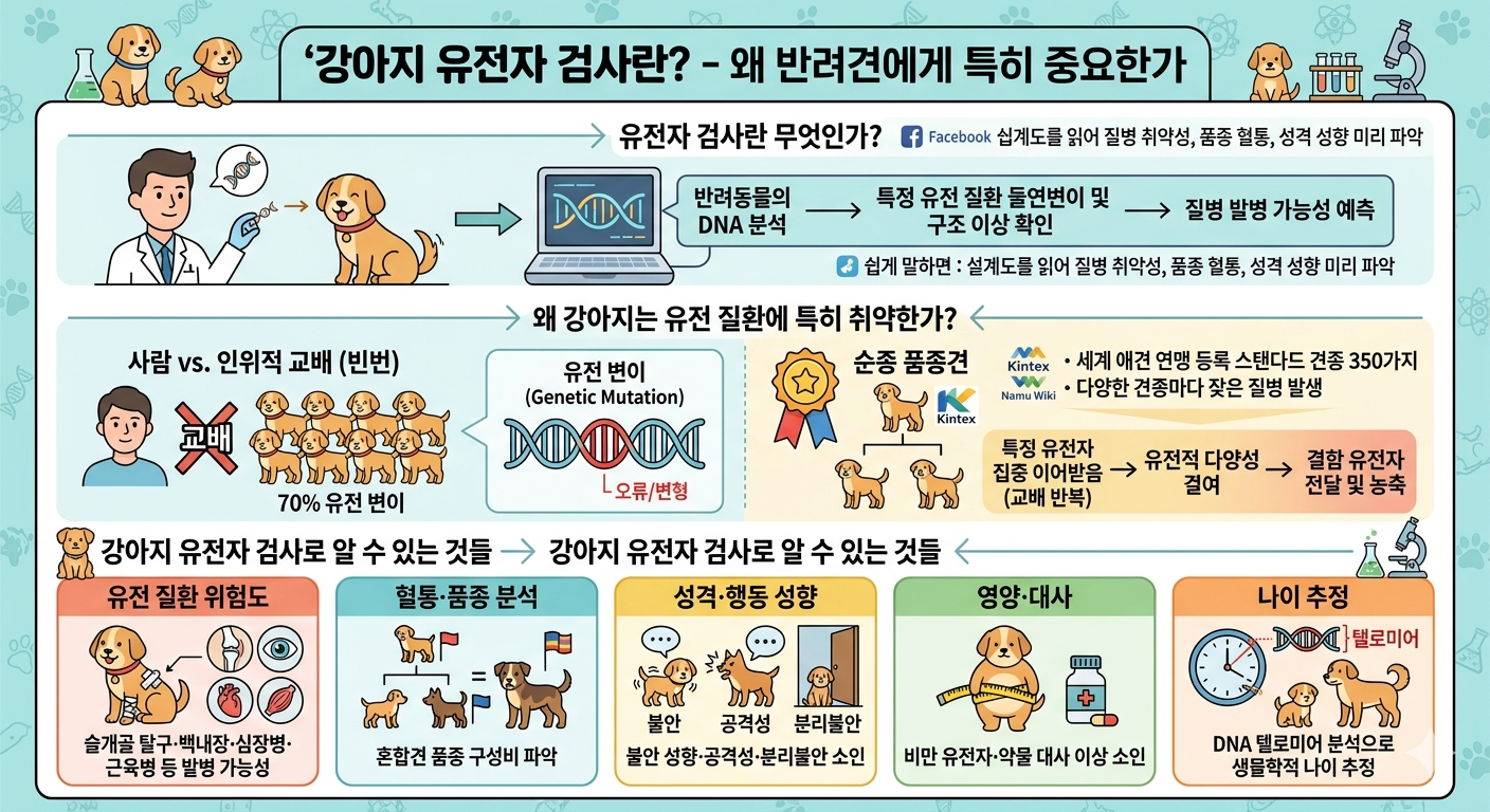 강아지 유전자 검사란?
