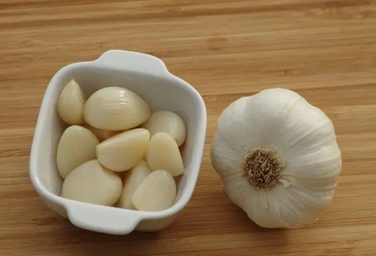 마늘 효능 부작용