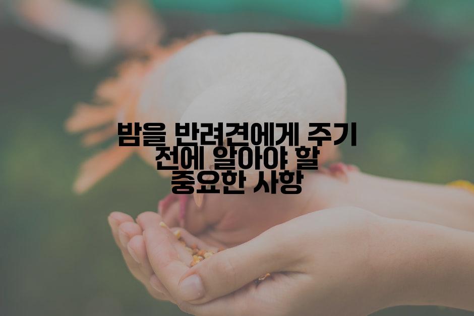 밤을 반려견에게 주기 전에 알아야 할 중요한 사항