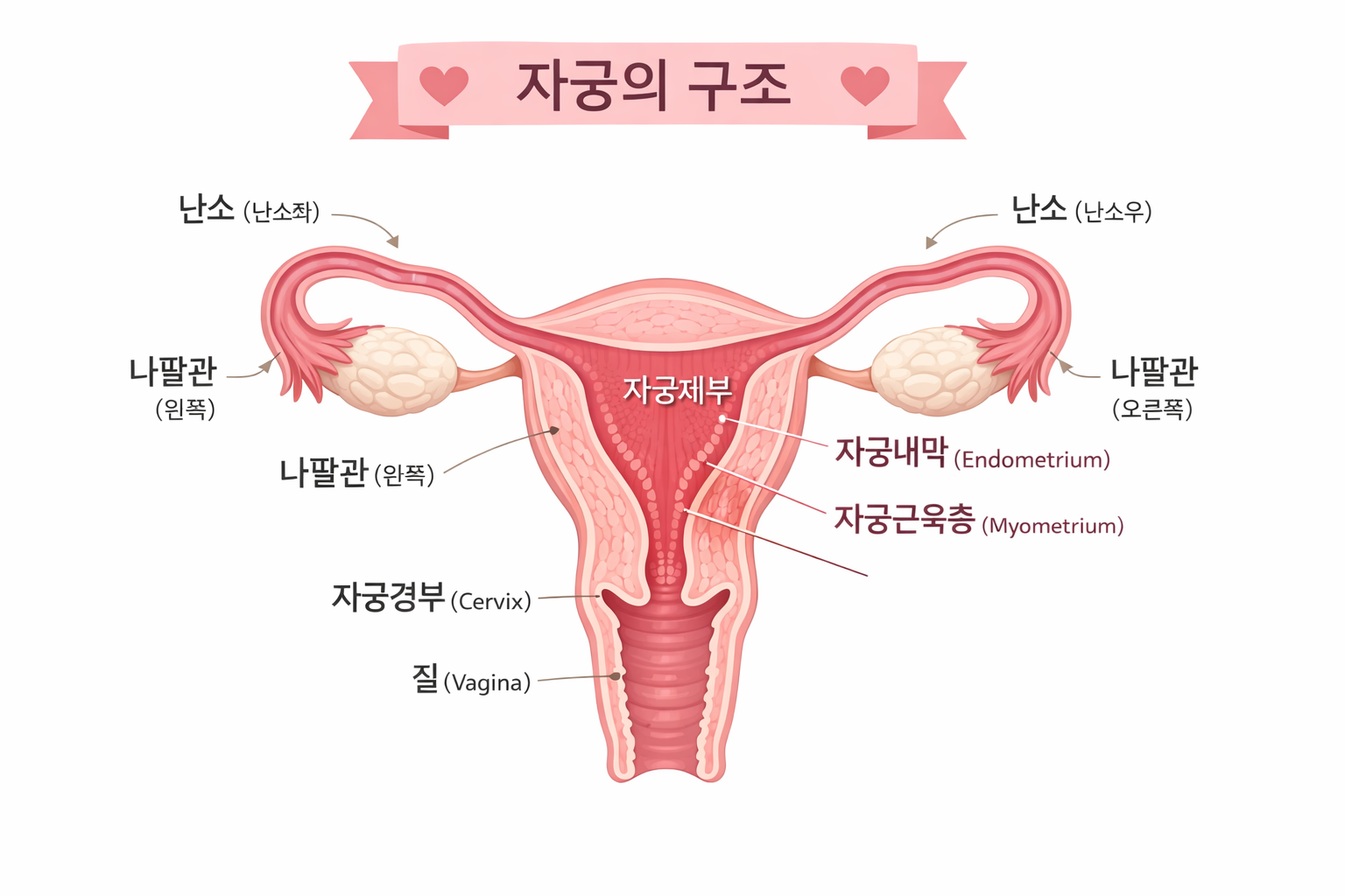 질염인 줄 알았는데 자궁염증? 여성들이 가장 헷갈리는 차이