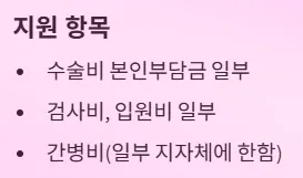 인공관절 수술비 지원 금액 및 항목 - 지원항목
