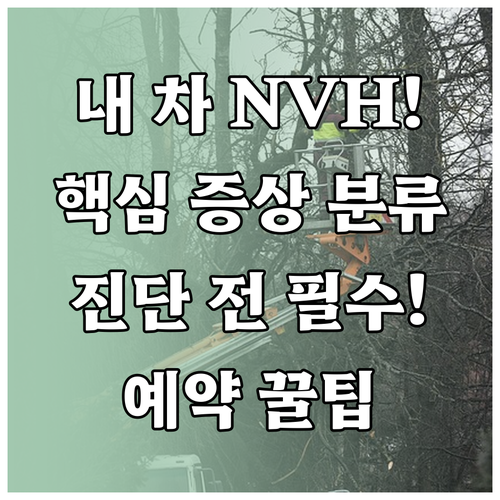 내 차의 이상 소음 떨림 NVH 증상..