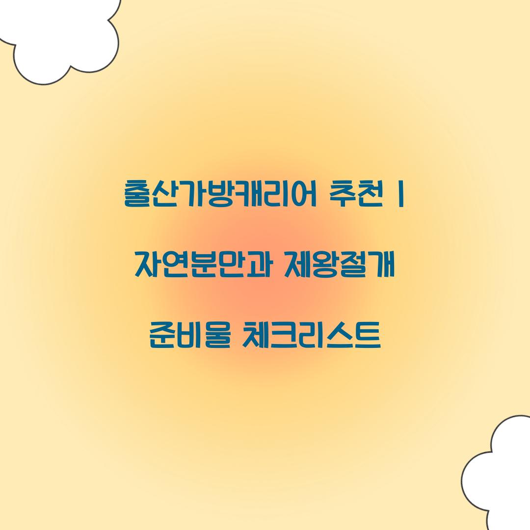 출산가방캐리어 추천