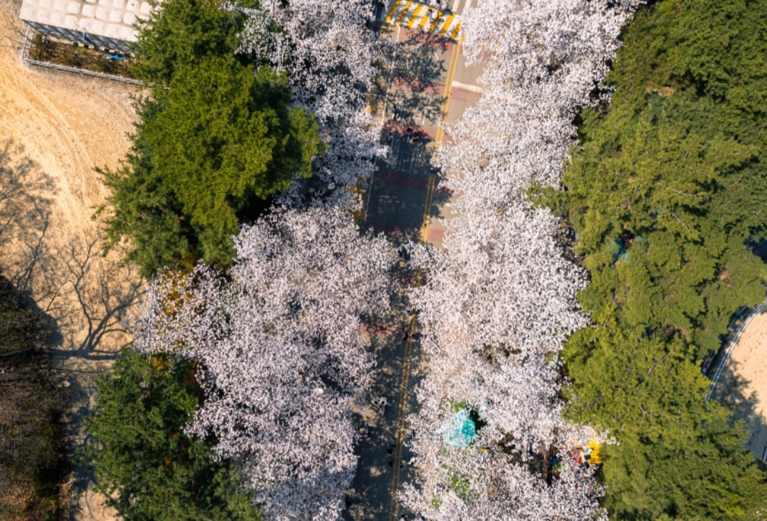 렛츠런파크