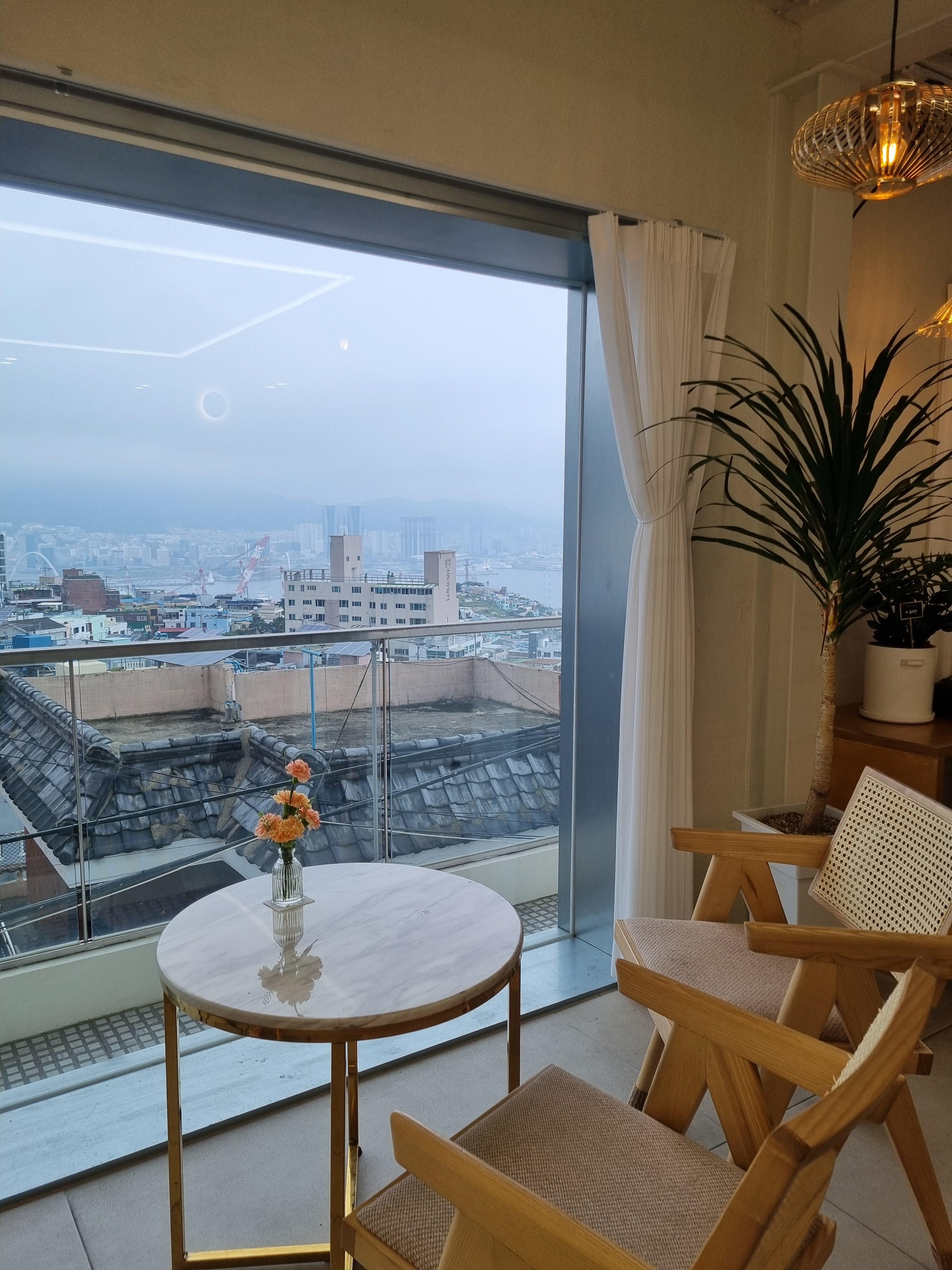 메종드콘뷰카페