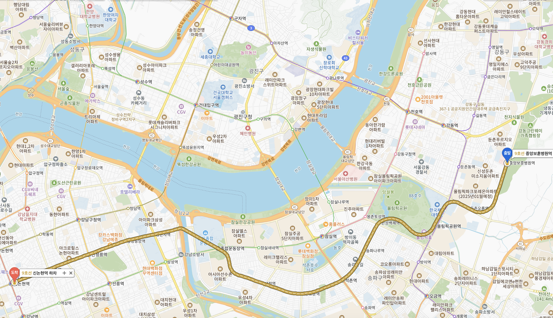 9호선 강남 접근 지도