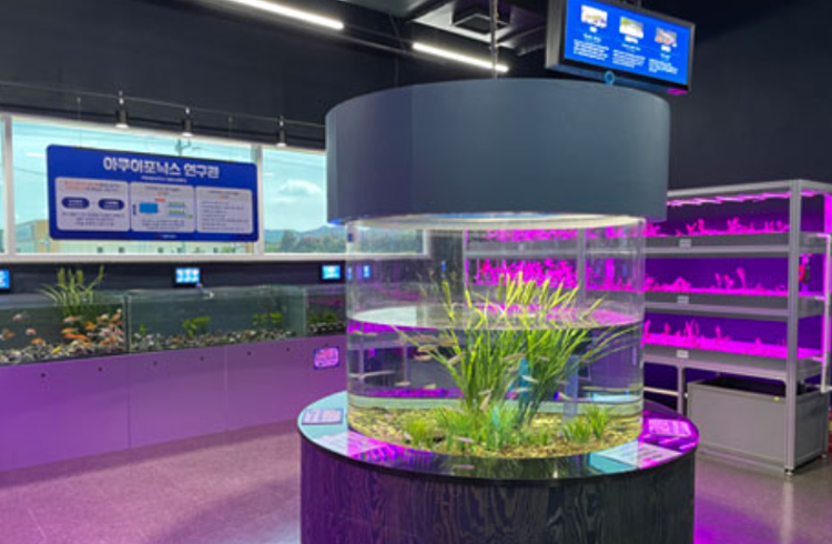 충북 아쿠아리움
