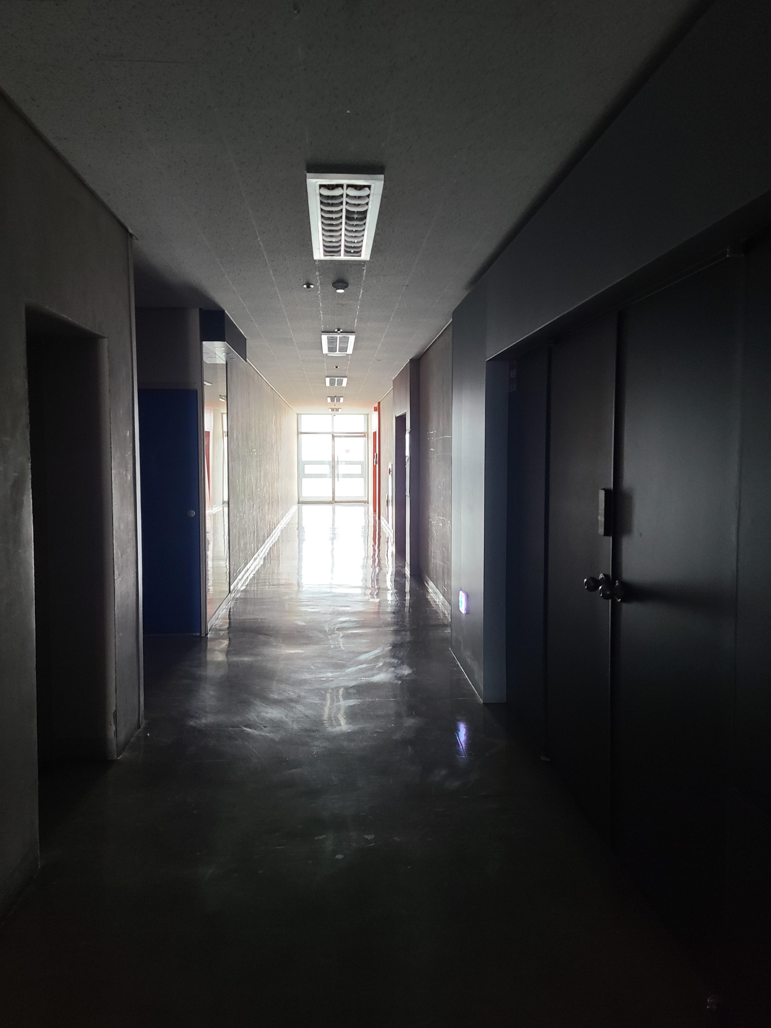 우림블루나인35