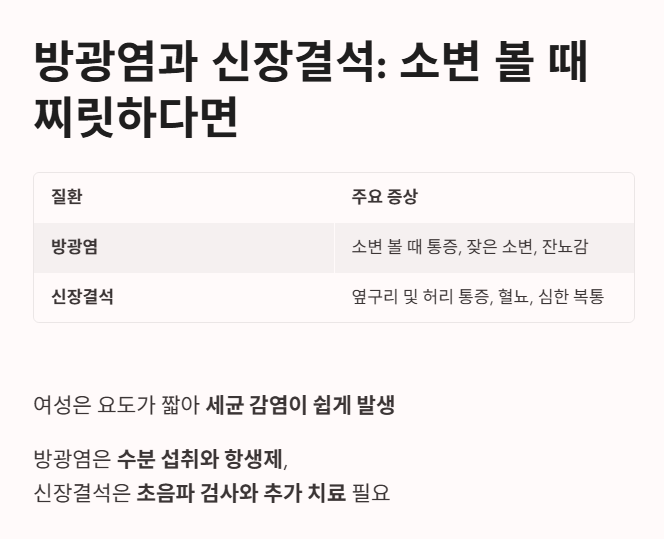 방광염과 신장결석