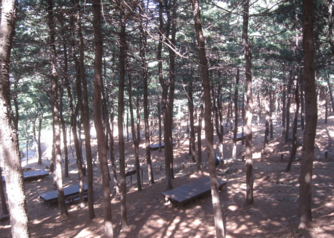 금천구 호암산 잣나무산림욕장 치유의숲