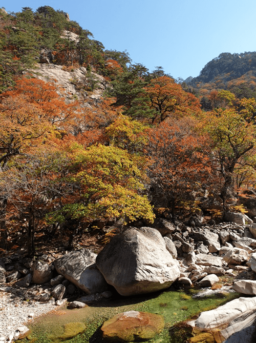한계령12