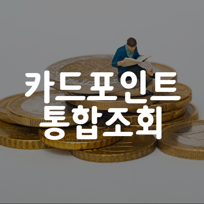 카드포인트 통합 조회