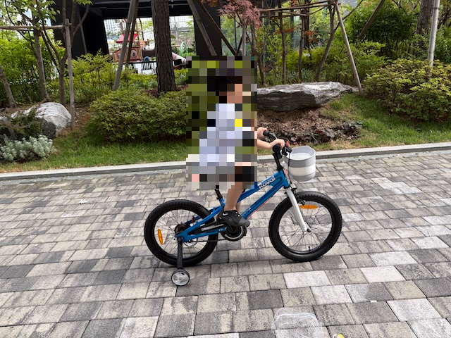 로얄베이비 자전거