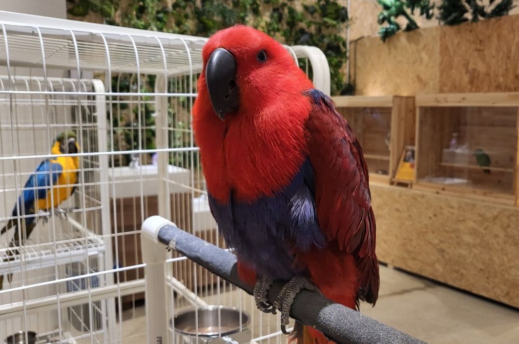 플레이정글 춘천엔타점