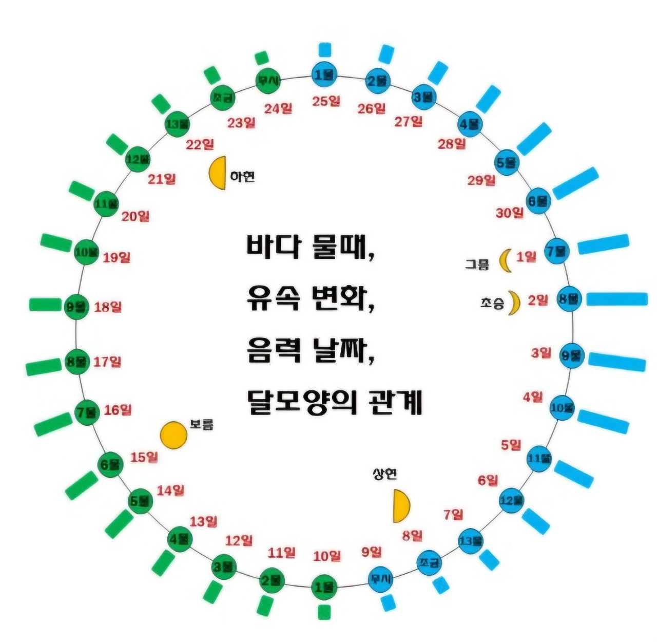 바다물때