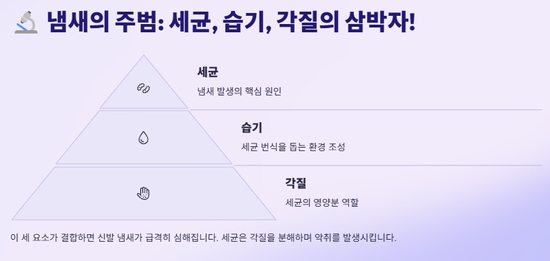 신발냄새 없애는 방법: 제거방법 BEST 7