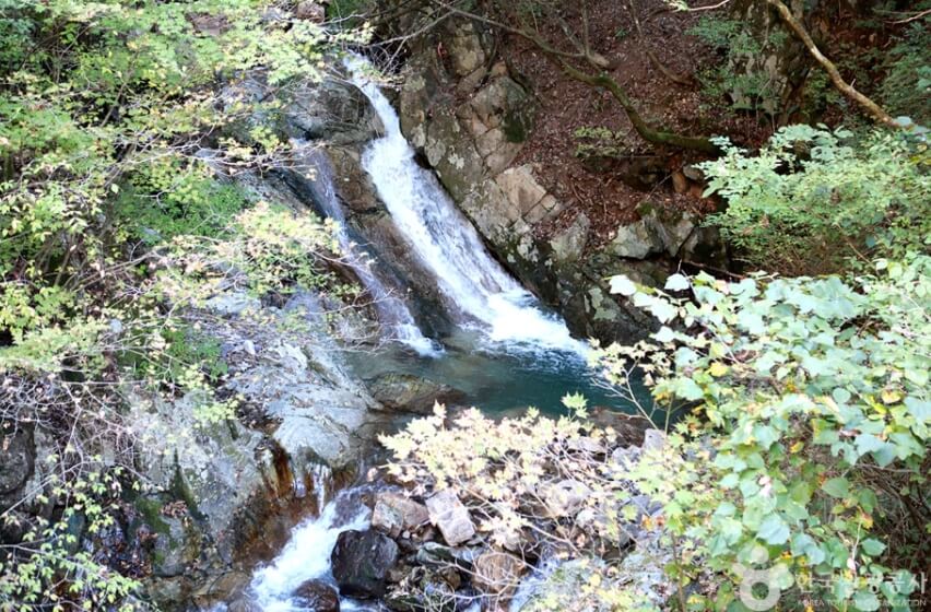 영월 가볼만한곳 베스트 10