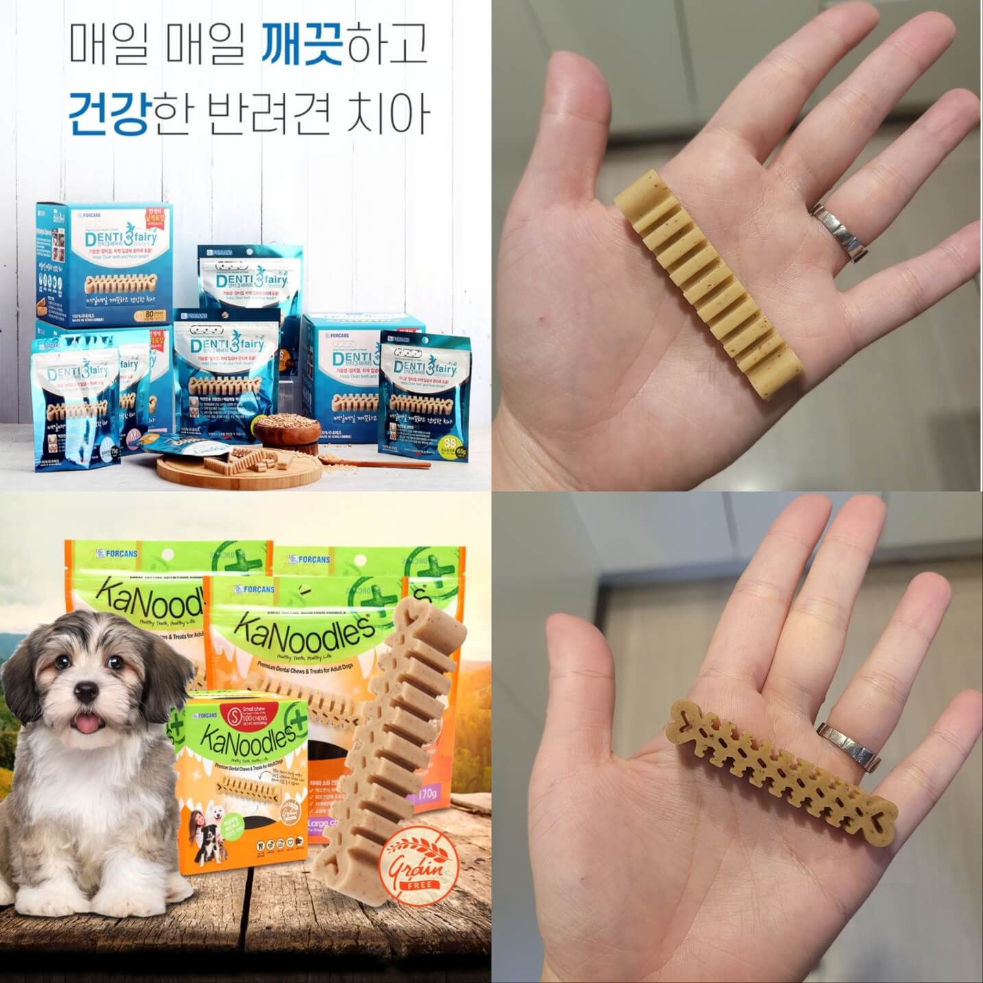 포켄스