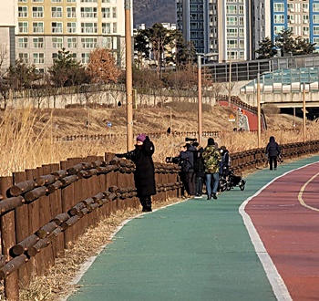 세력주-특징-흐름-잡는-법