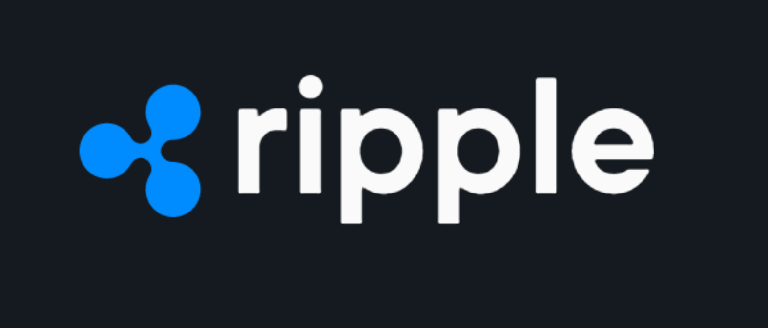 리플 투자전략 설명 이미지