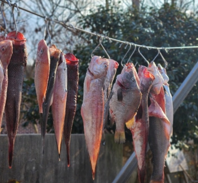 영암-어육간장-산골정-어육장
