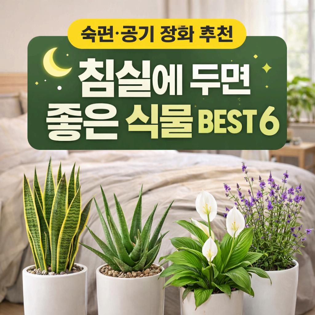 잠이 달라지는 침실 인테리어! 침실에 두면 좋은 식물 BEST 6