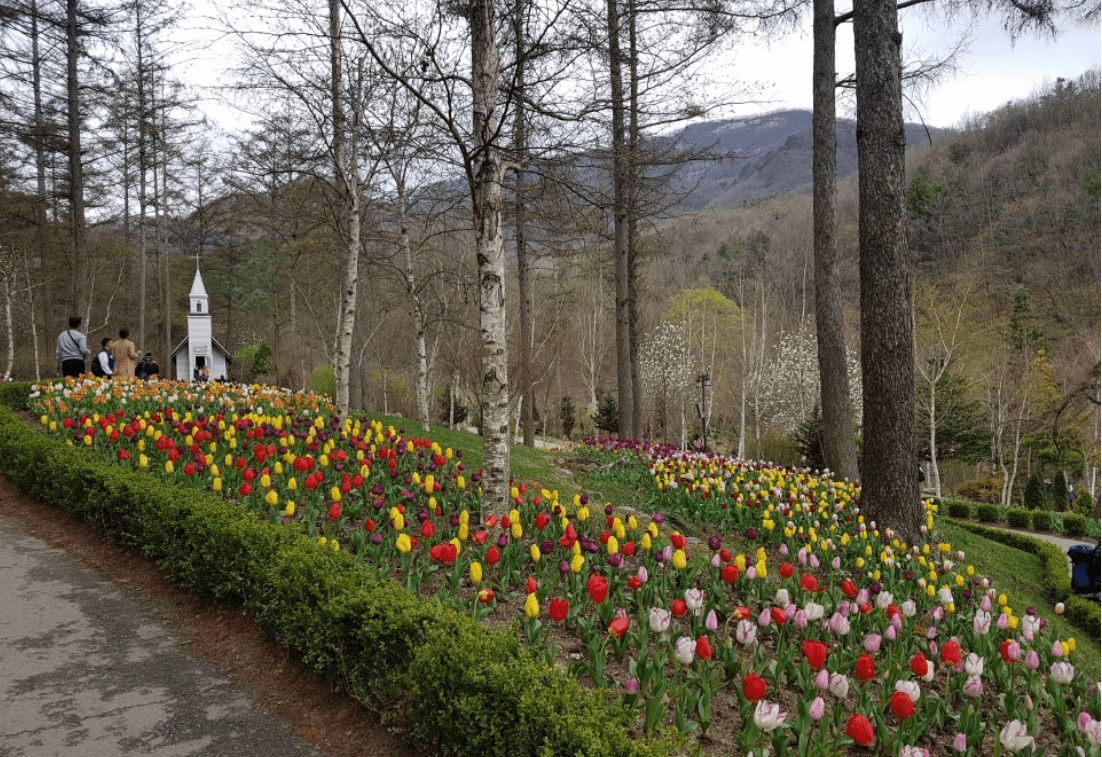 아침고요수목원