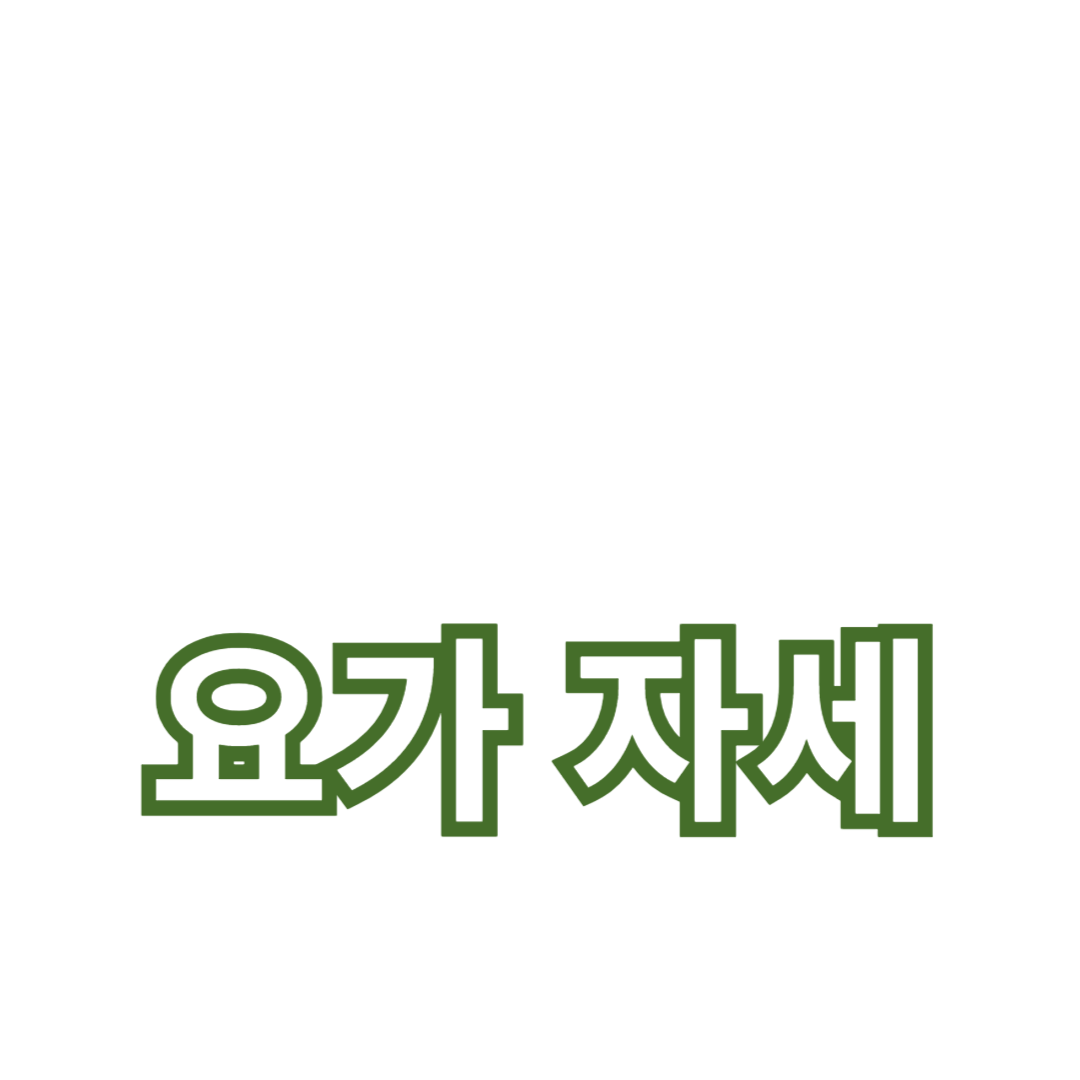 요가 자세와 유연성 향상을 위한 스트레칭 팁