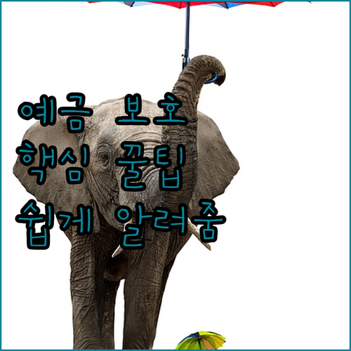 금융 문맹 탈출! 할매가 쉽게 알려주..