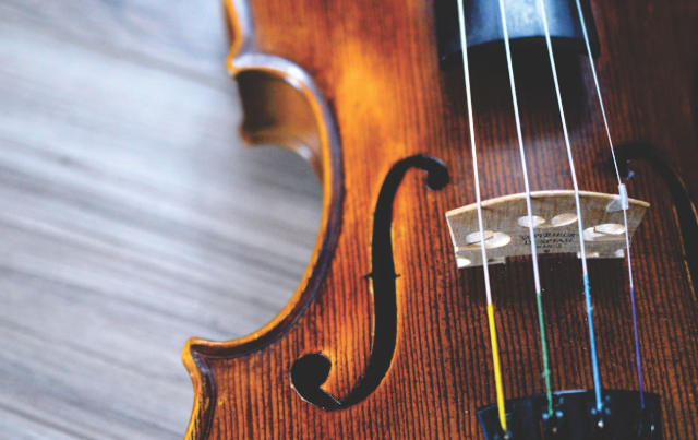 바이올린 사진