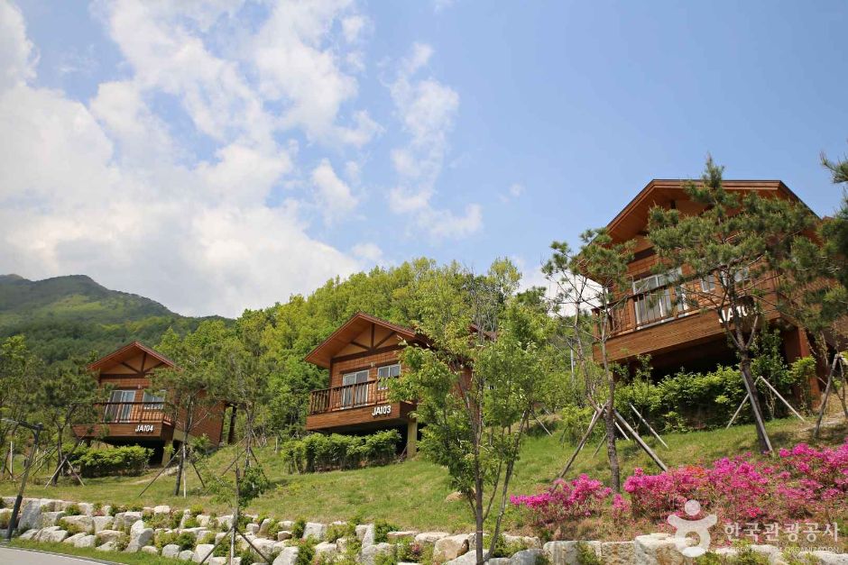 영주 가볼만한곳 베스트10