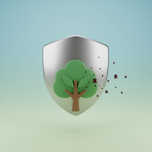 병충해 걱정 이제 그만! 건강한 올리브나무 지키는 법