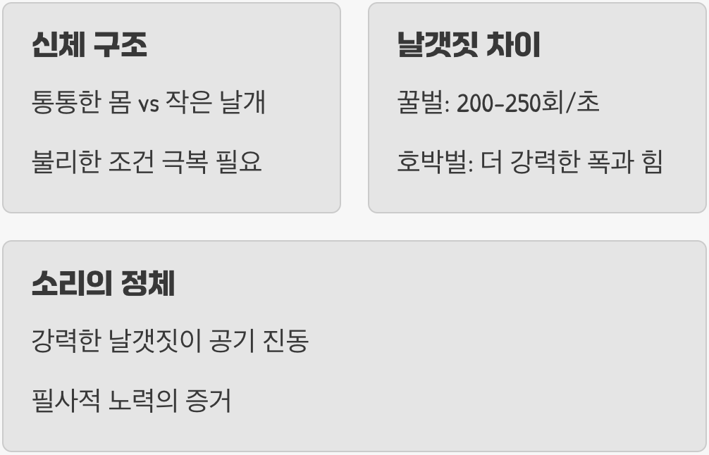 작은 날개로 큰 몸을 띄우는 힘