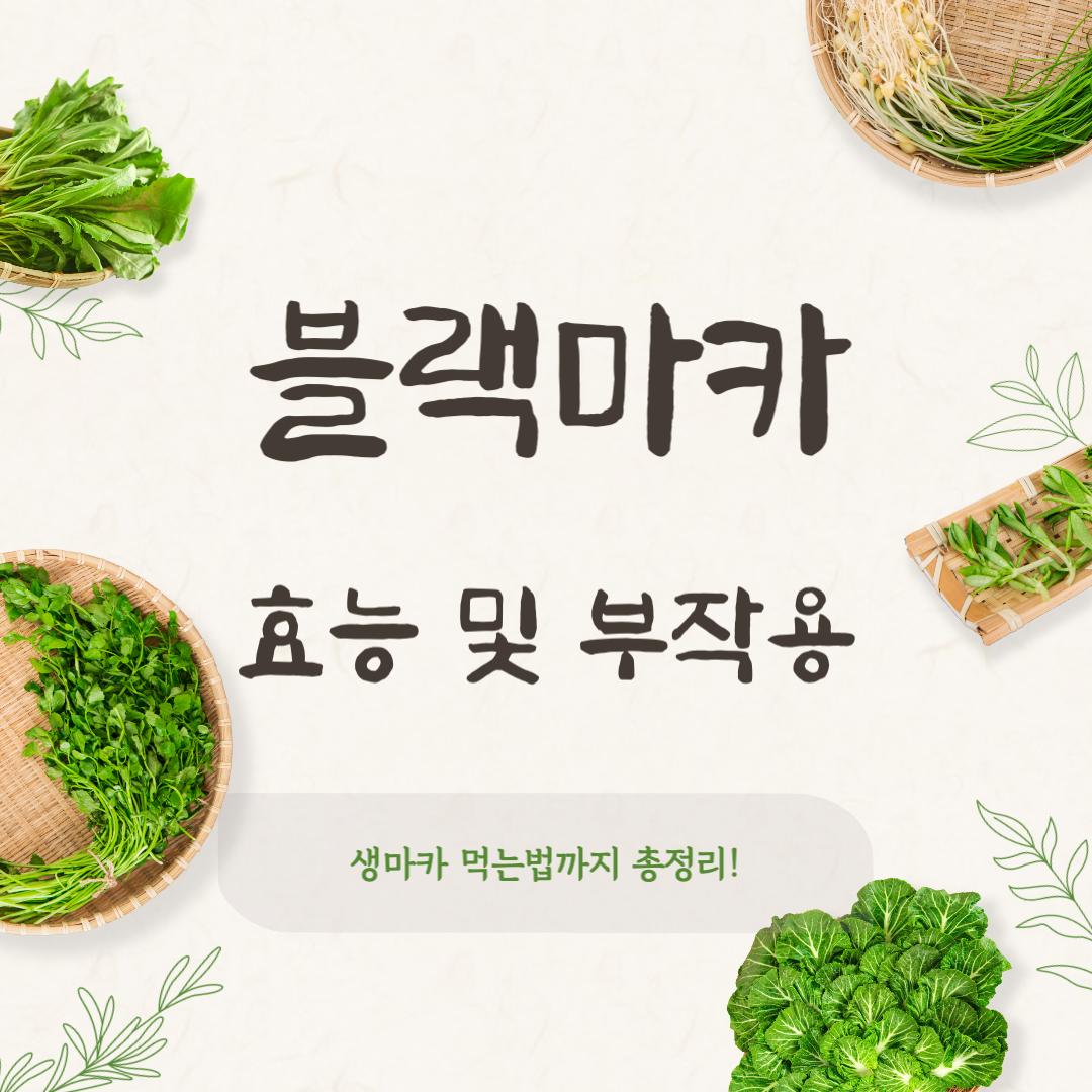 블랙마카 효능 및 부작용, 정말 대단할까? 생마카 먹는법까지 총정리