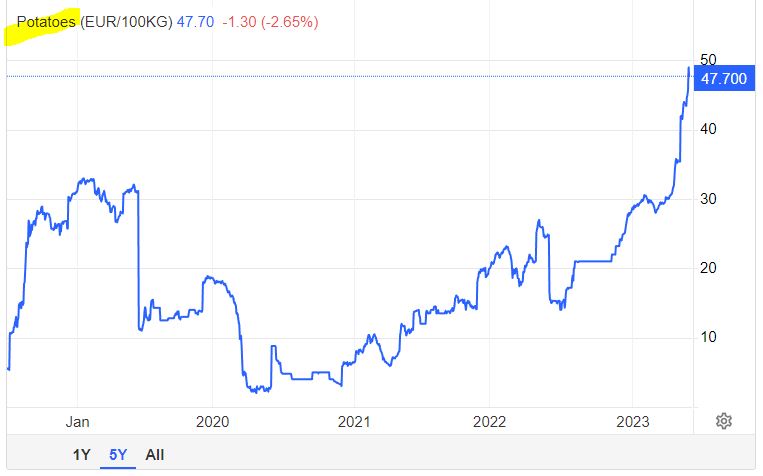 감자선물 가격 5년 차트