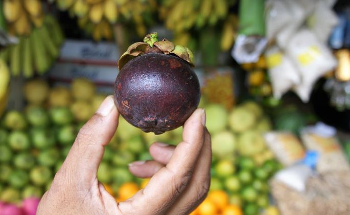 망고스틴까는법