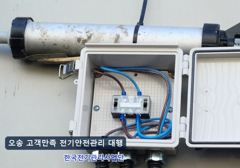 사진 3