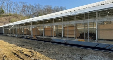 유나네자연숲농장