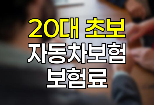 20대 초보 운전자 자동차 보험료