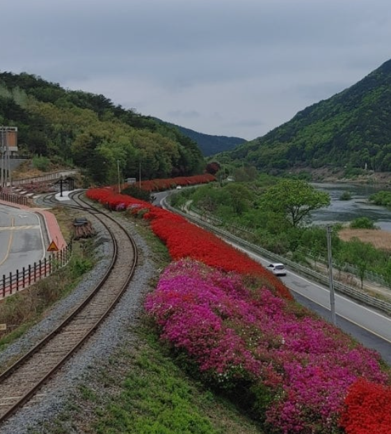 곡성 기차마을 증기기관차