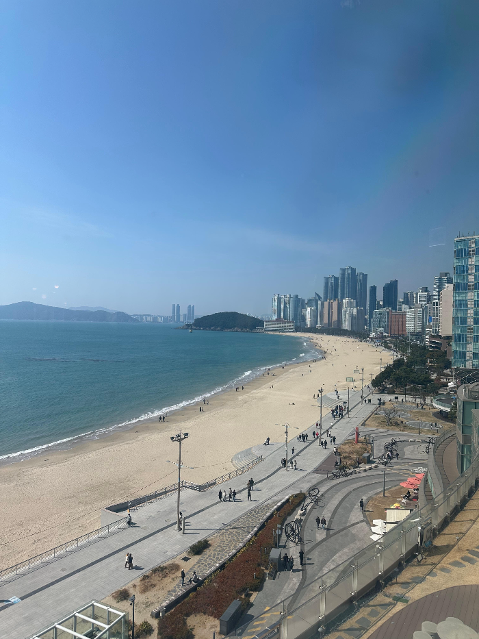 뷔페에서 내려다 보이는 해운대 바다