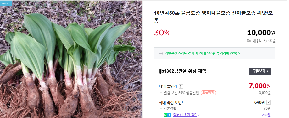 명이나물 장아찌 황금 레시피 및 재배법 (+ 모종 판매 수확시기 먹는 법)