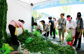 제 19회 영양 산나물 축제 기본일정과 특징 소개