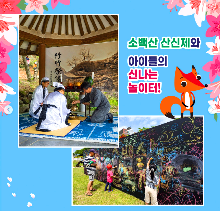 영주 소백산 철쭉제